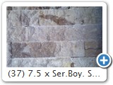 (37) 7.5 x Ser.Boy. Scabas